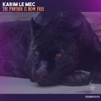 Karim Le Mec - The Panther Now is Free