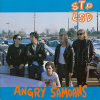Angry Samoans - Stp Not Lsd (Explicit)