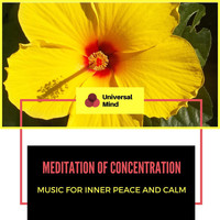 Yogsutra Relaxation Co - Meditation Of Concentration - Music For Inner Peace And Calm
