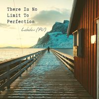 Lebedev (RU) - Lebedev (RU) - There Is No Limit To Perfection LP