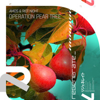 Amos & Riot Night - Operation Pear Tree