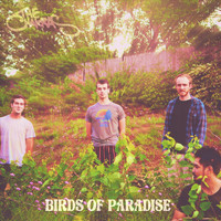 The Chakras - Birds of Paradise (Explicit)
