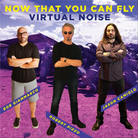 Virtual Noise - Now That You Can Fly
