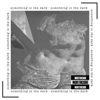 Northcode - Something in the Dark