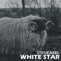 StevAxel - White Star
