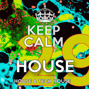 Various Artists - House 29