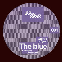 Digital Project - The Blue