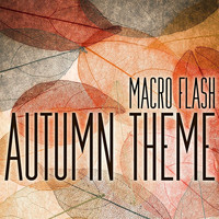 Macro Flash - Autumn Theme