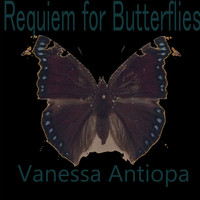 Vanessa Antiopa - Requiem for Butterflies