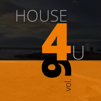Various Artists - House 4 U, Vol. 9