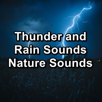 Rest & Relax Nature Sounds Artists - Thunder and Rain Sounds Nature Sounds