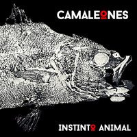 Camaleones - Instinto Animal