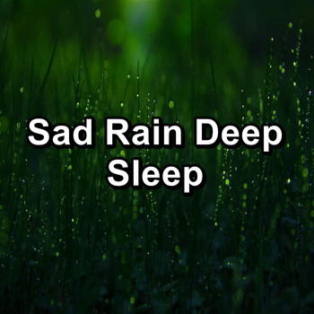 Rain Sound Studio - Sad Rain Deep Sleep