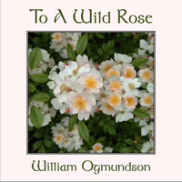 William Ogmundson - To a Wild Rose