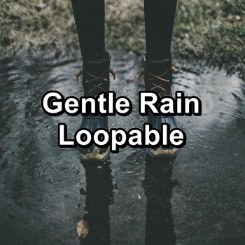 Sleep Tribe - Gentle Rain Loopable