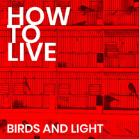 How to Live - Birds and Light