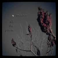 MISTER - All the Pieces