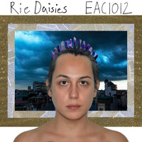 Rie Daisies - EAC1012