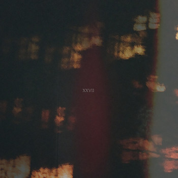Sterna - XXVII