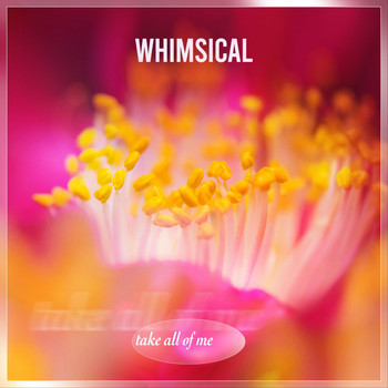 Whimsical - Take All of Me
