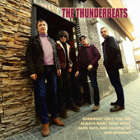 The Thunderbeats - Somebody Isn't Feeling