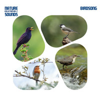 Various Artists - Nature Sounds Collection, Vol. 3: Birdsong
