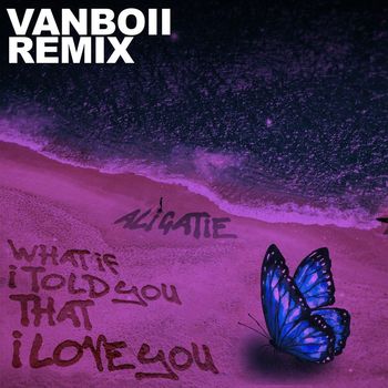 Ali Gatie - What If I Told You That I Love You (Vanboii Remix)
