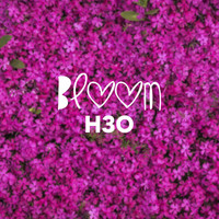 H3O - Bloom