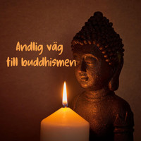 Blandade artister - Andlig väg till buddhismen