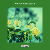 Andy Bach - Feel The Groove EP