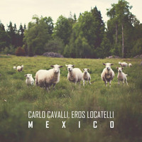 Carlo Cavalli, Eros Locatelli - Mexico