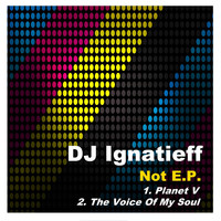 DJ Ignatieff - Not
