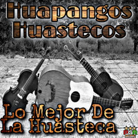 Huapangos Huastecos - Lo Mejor de La Huasteca