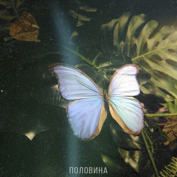 Swami - Половина