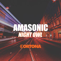 AMASONIC VIBES - Night Owl