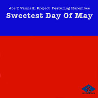 Joe T Vannelli Project - Sweetest Day of May