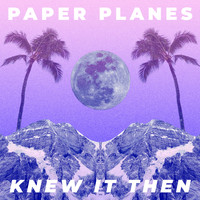 Paper Planes - Knew It Then