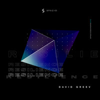 David Greev - Resilience