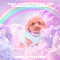 Meghan Trainor - You Don't Know Me (Sidekick Remix)