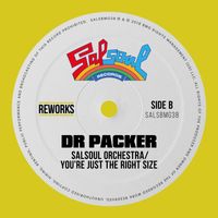 The Salsoul Orchestra - You're Just The Right Size (Dr Packer Rework)