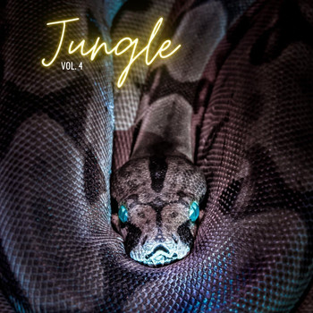 Various Artists - Jungle, vol. 4