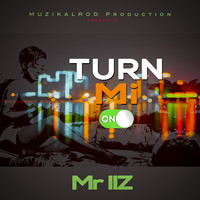 Mr. Iiz - Turn Mi On (Explicit)