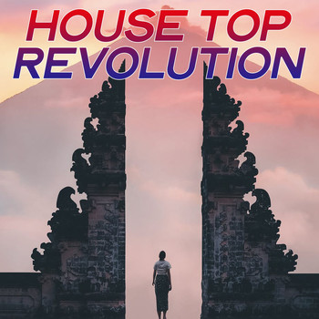 Various Artists - House Top Revolution