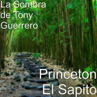 La Sombra de Tony Guerrero - Princeton El Sapito