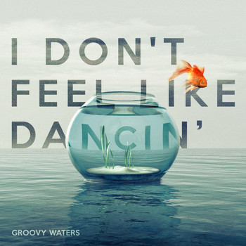 Groovy Waters - I Don't Feel Like Dancin'