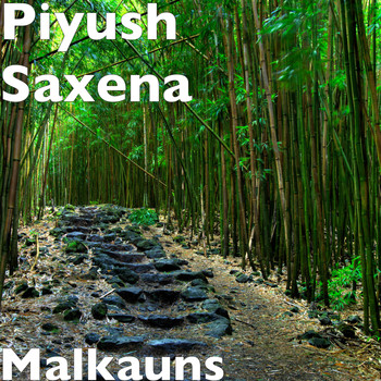 Piyush Saxena - Malkauns