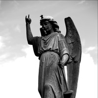 Sidonie - Fallen Angel