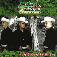 Los Cuates de Sinaloa - Puro Cuate!!!, Vol. 3