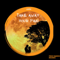 Landis - Take Away Your Pain