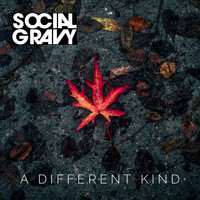 Social Gravy - A Different Kind